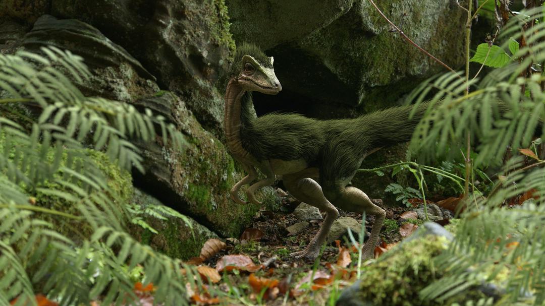 Background image for 300 Million Years