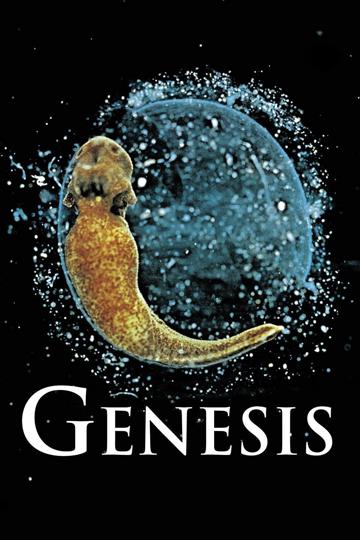 Genezis poszter