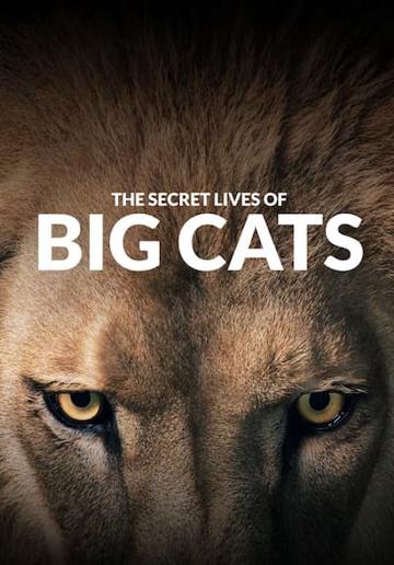 The Secret Lives Of Big Cats poszter