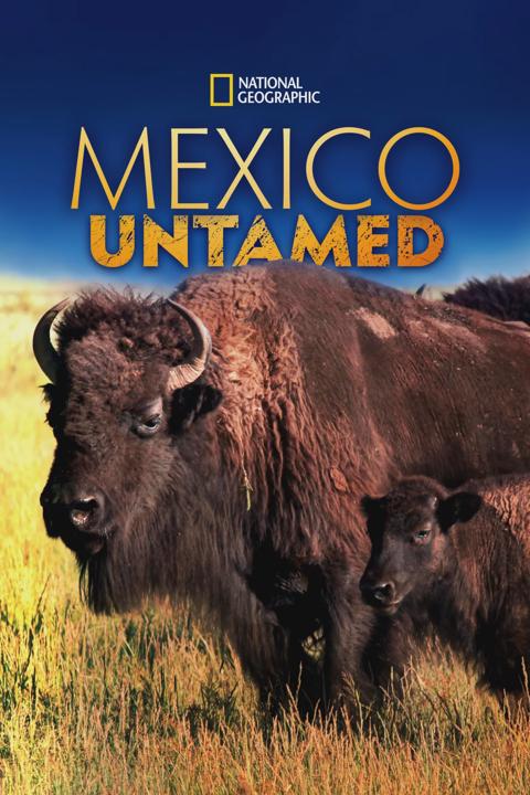 Series poster for Mexico Untamed