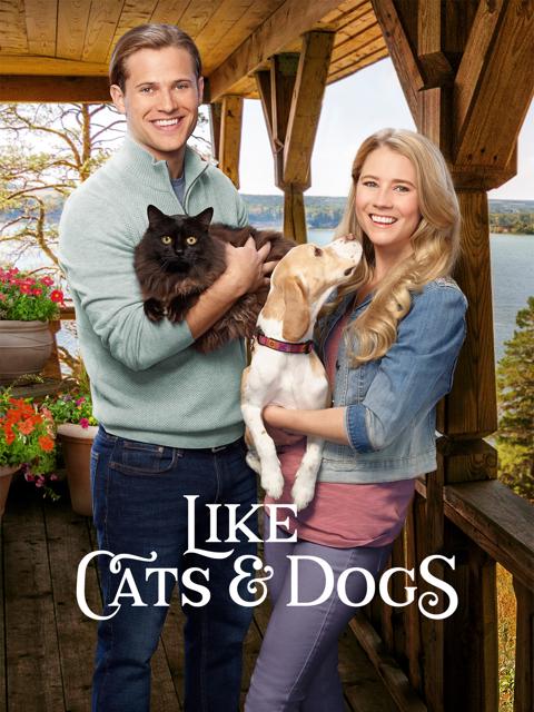 Movie poster for Like Cats & Dogs