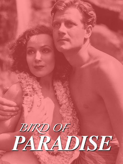 Movie poster for Bird of Paradise