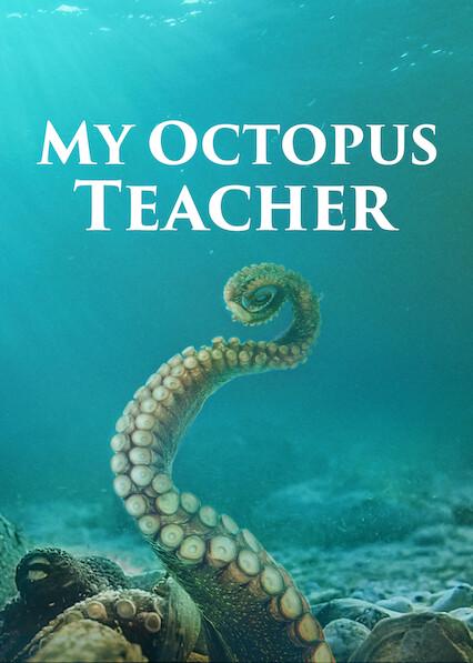 My Octopus Teacher