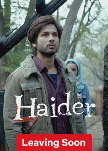 Haider poszter