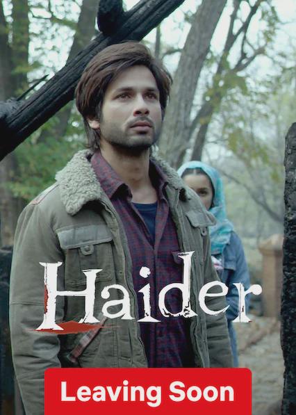 Movie poster for Haider