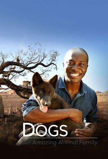 Dogs: An Amazing Animal Family poszter
