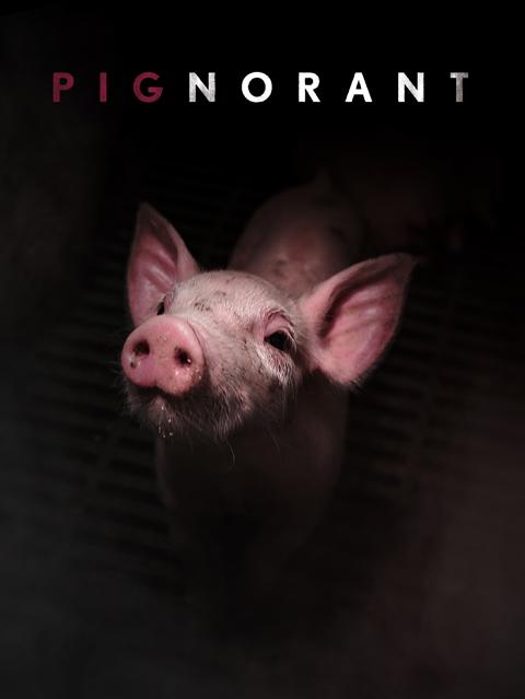 Movie poster for Pignorant