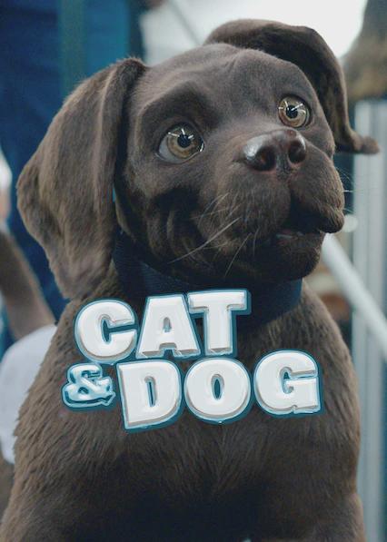 Cat and Dog