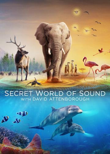 David Attenborough: A hangok titokzatos világa poszter