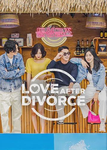Love After Divorce poszter