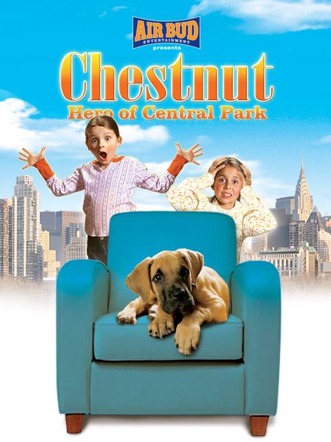 Movie poster for Chestnut: Hero of Central Park