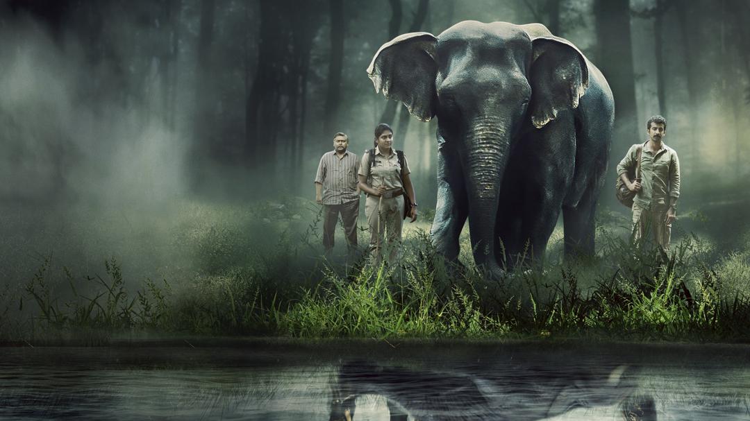 Background image for Poacher