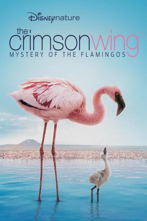 Movie poster for The Crimson Wing: Mystery of the Flamingos