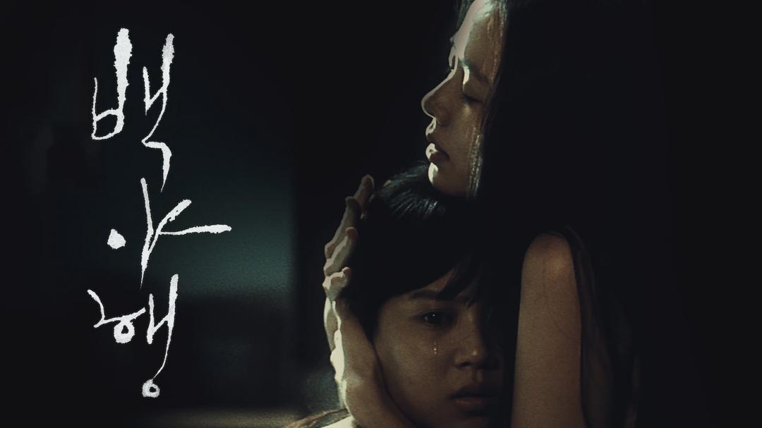New on Netflix Korea — Jul 20–Jul 26, 2026