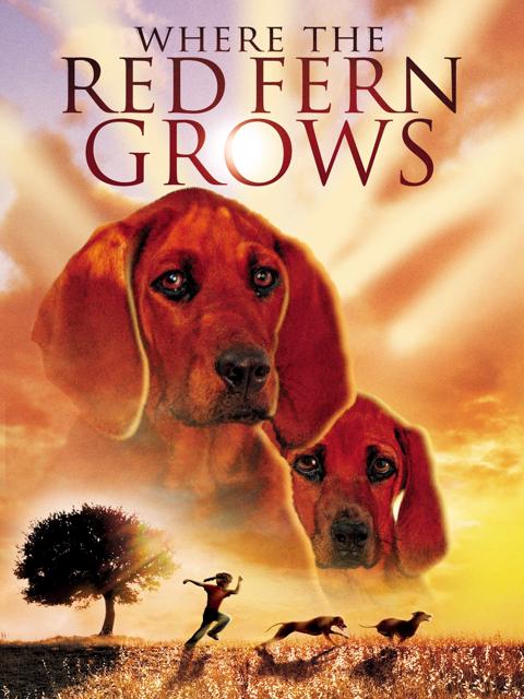 Poster för Where the Red Fern Grows