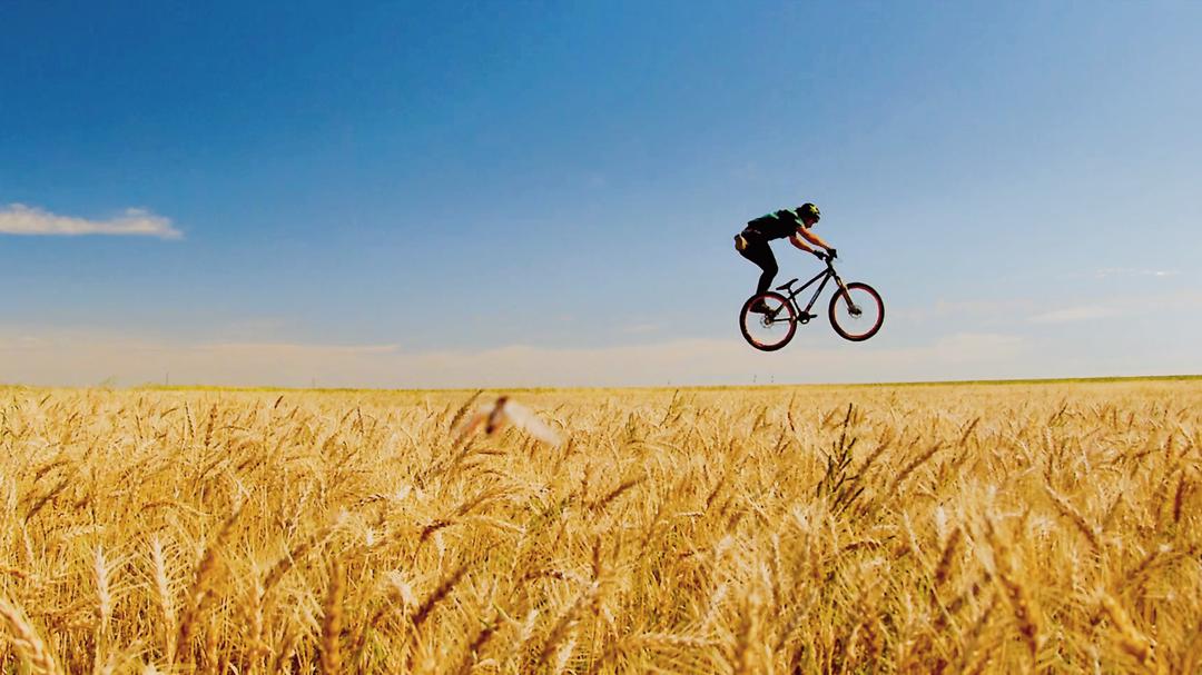 Background image for Life Cycles