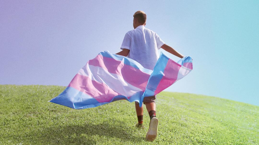 Background image for Transhood