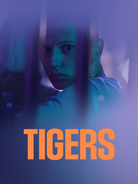 Movie poster for Tigers