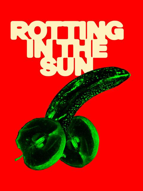 Movie poster for Rotting in the Sun