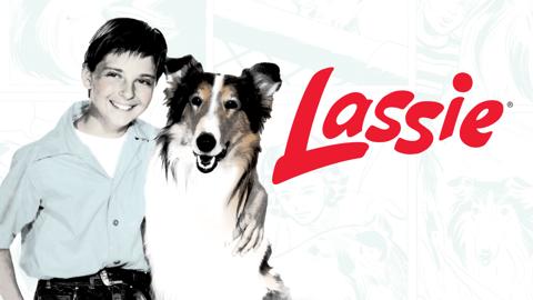 Lassie