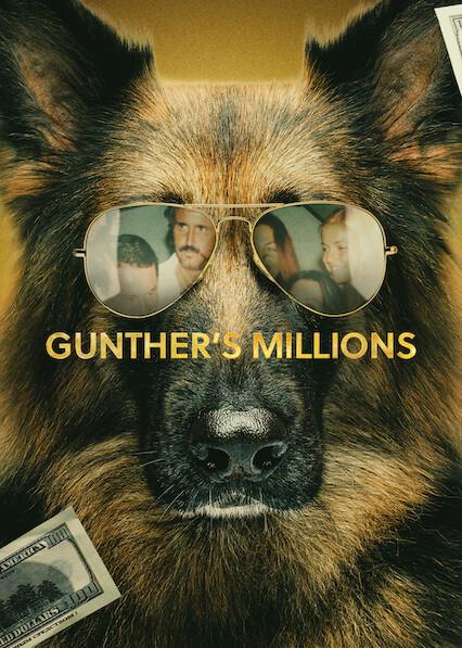 Series poster for Gunther's Millions