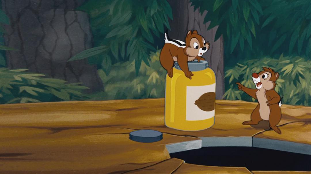 Background image for All in a Nutshell