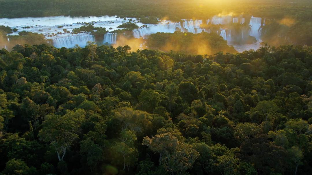 Background image for Brazil: A Natural History
