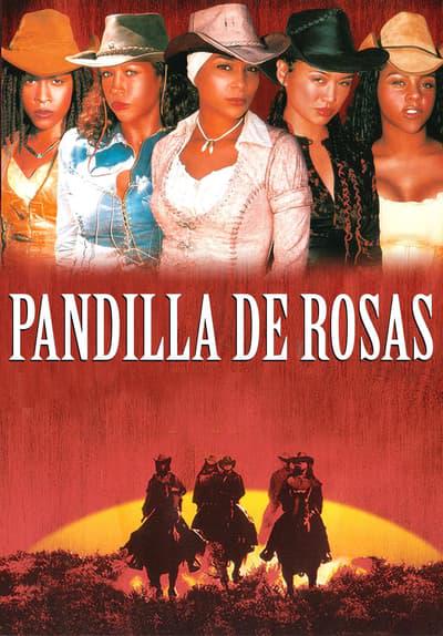 Movie poster for Gang of Roses