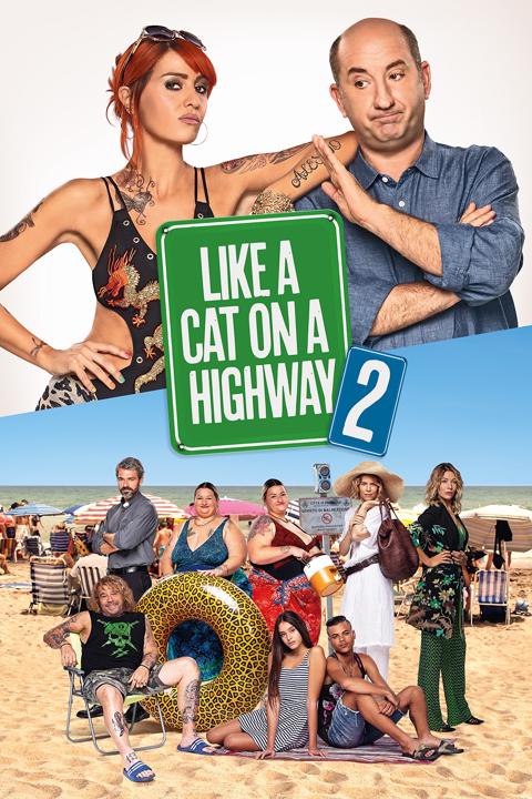 Like a Cat on a Highway 2