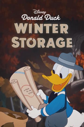 Winter Storage poszter