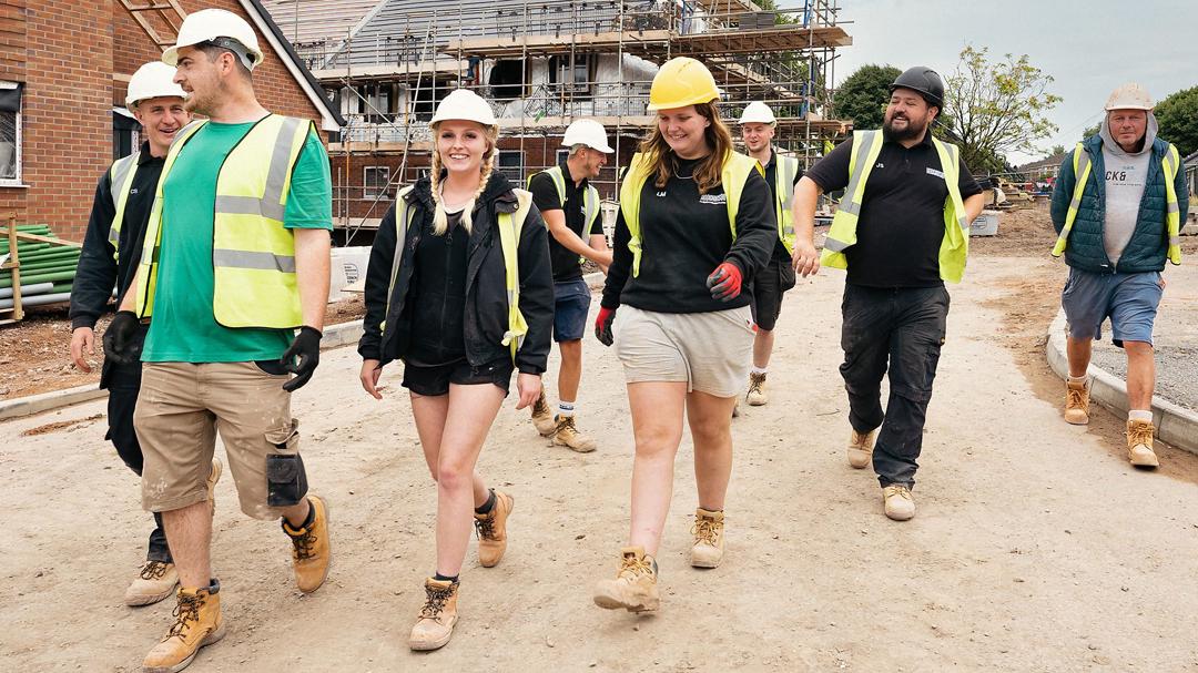 Background image for Brickies