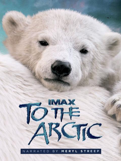 Poster för To the Arctic 3D