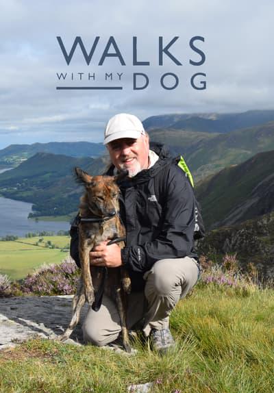 Series poster for Walks with My Dog