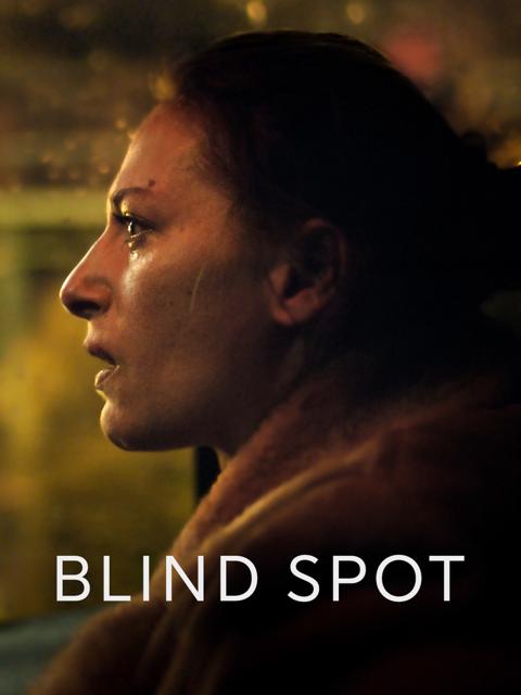 Poster för Blind Spot