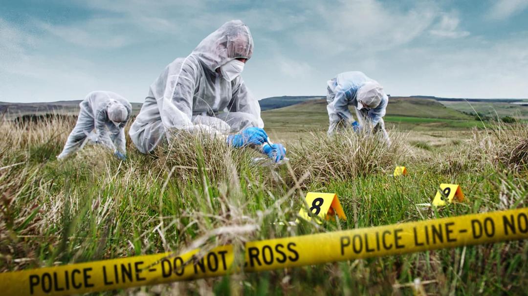 Background image for Expert Witness