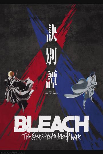 Bleach poster