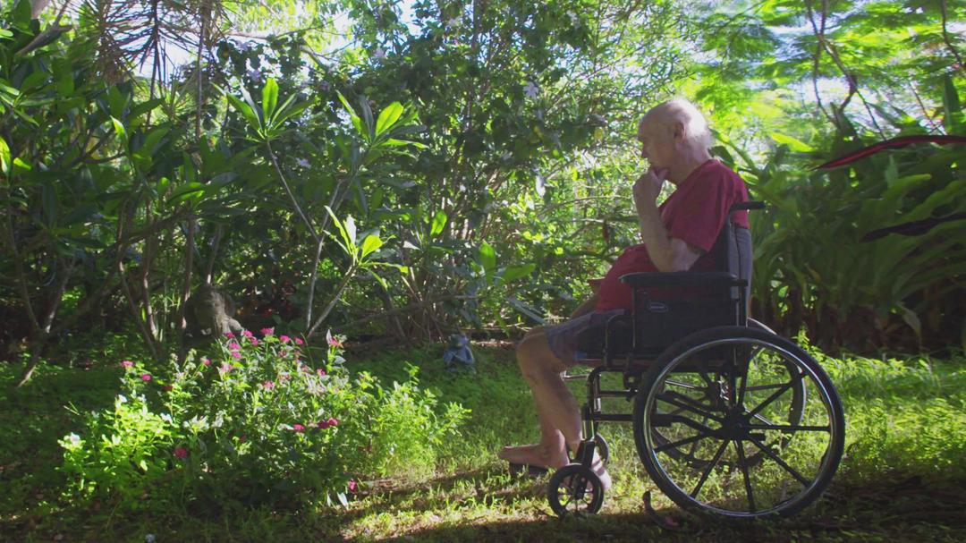 Background image for Ram Dass, Going Home