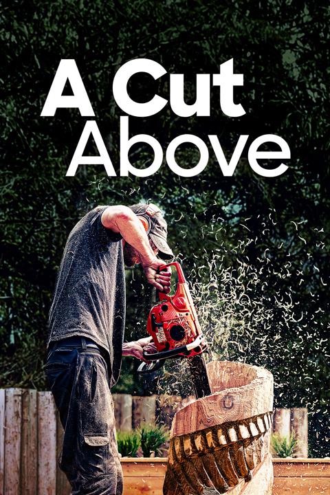 Series poster for A Cut Above