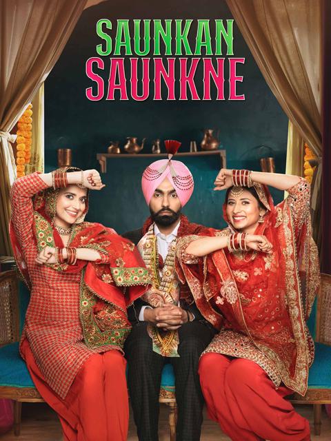 Movie poster for Saunkan Saunkne