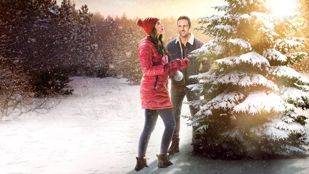 Background image for The Christmas Promise