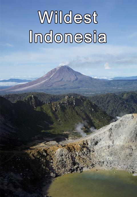 Series poster for Wildest Islands of Indonesia