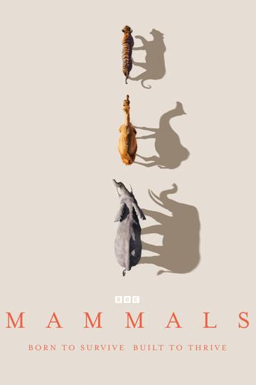 Mammals