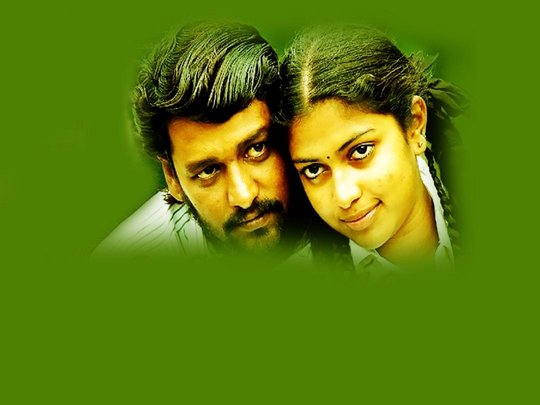 Background image for Mynaa