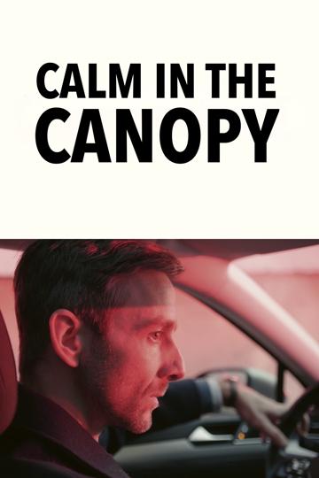 Calm in the Canopy poszter