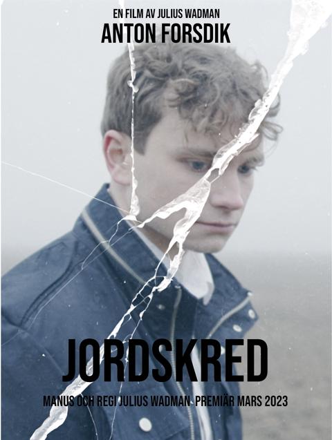 Movie poster for Landslide
