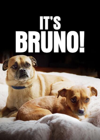 Series poster for It's Bruno!