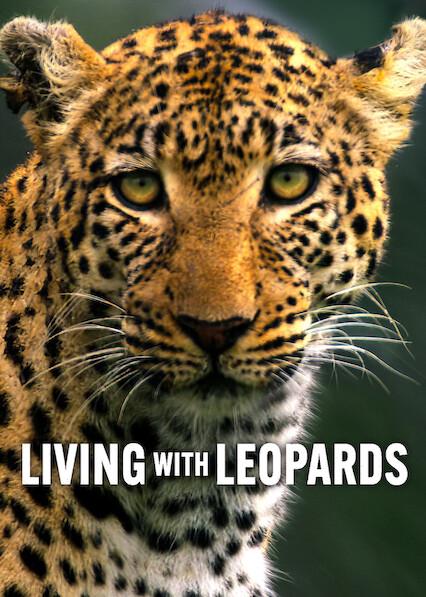 Poster för Livet som leopard