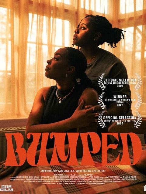 Movie poster for Bumped