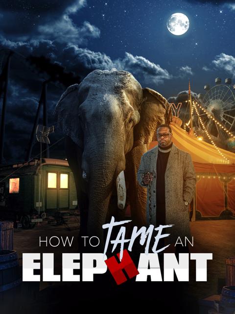 Movie poster for How To Tame An Elephant