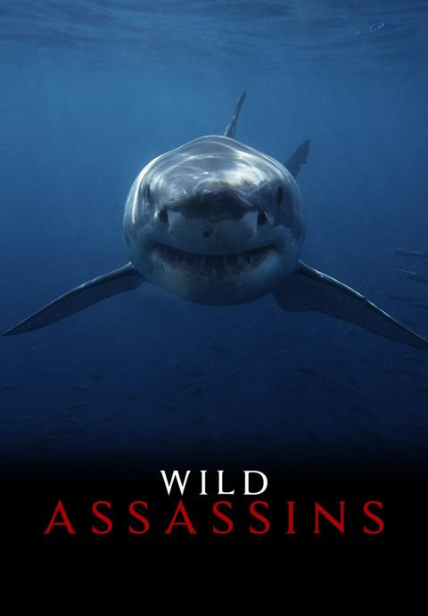 Series poster for Wild Assassins